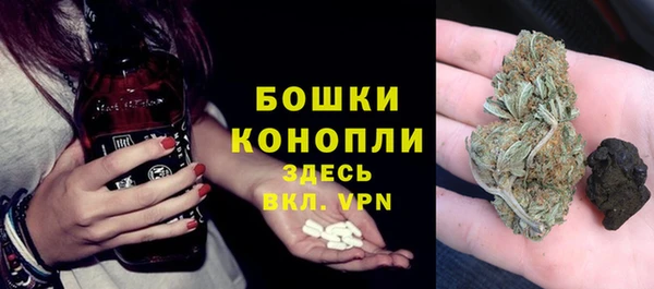 шишки Горнозаводск