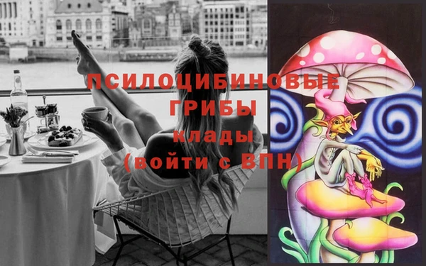 шишки Горнозаводск