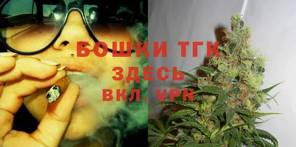 шишки Горнозаводск