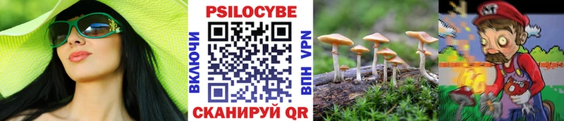 Галлюциногенные грибы Psilocybine cubensis  Купить  Кондопога 